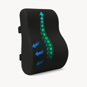 Ergonomisch lendenkussen